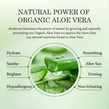 Aloderma Firming Cream for Face and Neck with 62% Organic Aloe Vera - Firming Face Cream with Hyaluronic Acid & Carnosine - Natural Renewing Aloe Face Cream - Instantly Hydrate & Plump Skin, 1.7oz