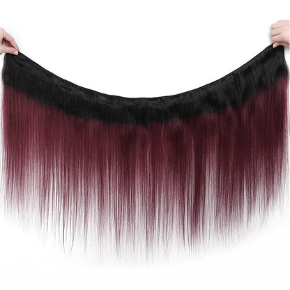 Fabimiya Bundles Human Hair 10/12/14 Inch Straight Burgundy Highlight 99J Human Hair Bundles 12A Unprocessed Quick Weave for Black Women