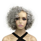 Onemliy Grey Wigs for Women Short Curly Asymmetrical Synthetic Fiber Ombre Silver Gray Wig for Halloween Cosplay Costume Party