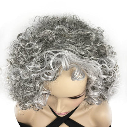 Onemliy Grey Wigs for Women Short Curly Asymmetrical Synthetic Fiber Ombre Silver Gray Wig for Halloween Cosplay Costume Party